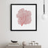 framed red sea fan wall art
